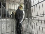 IMG_8383.jpeg