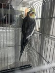 IMG_8380.jpeg