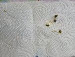 20260505_123732.jpg