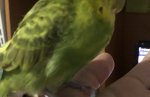 IMG_2989.jpeg