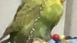 IMG_2990.jpeg