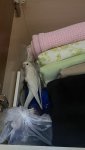 IMG_0563.jpeg