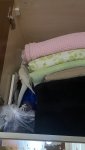 IMG_0562.jpeg