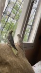 IMG_0523.jpeg