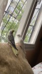 IMG_0521.jpeg