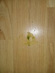 IMG-20260506-WA0001.jpg
