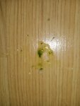 IMG-20260506-WA0000.jpg
