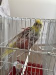 IMG_6885.jpeg