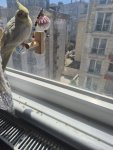 20260506_123119.jpg
