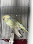 IMG_6993.jpeg