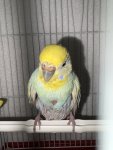 IMG_6989.jpeg
