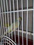 IMG_6988.jpeg