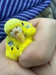 IMG_0885.jpeg