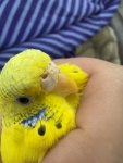 IMG_0887.jpeg