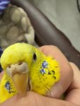 IMG_0888.jpeg