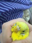 IMG_0892.jpeg