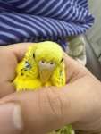 IMG_0898.jpeg