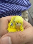 IMG_0897.jpeg