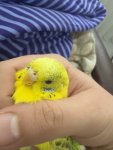 IMG_0894.jpeg