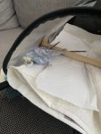 IMG_7257.jpeg