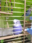 IMG_20260508_190809_MP.jpg