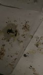 IMG_0587.jpeg