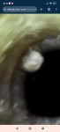 Screenshot_2026-05-09-20-36-30-706_com.android.chrome.jpg