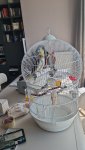 IMG-20260509-WA0004.jpg