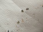 IMG_20260510_105446.jpg