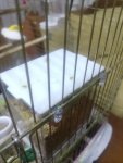 IMG_20260511_004559_MP.jpg