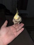 7.jpeg