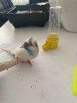 IMG_0736.jpeg