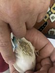 IMG_0693.jpeg