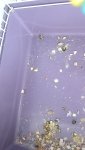 IMG-20260512-WA0000.jpg