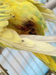 IMG_1573.jpeg