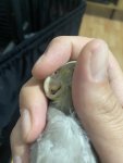 IMG_0343.jpeg