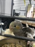 IMG_0340.jpeg