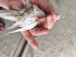 IMG_20260505_091011.jpg