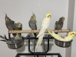 IMG_0248.jpeg