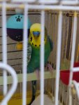 IMG_20260516_181555.jpg