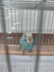 IMG_20260517_175033.jpg