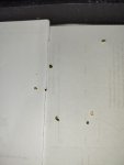IMG_20260517_193142.jpg