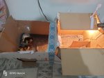 IMG20260518225541.jpg