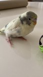 IMG_4822.jpeg