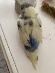 IMG_4824.jpeg