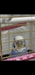 IMG_3379.png