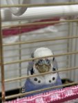 IMG_3289.jpeg