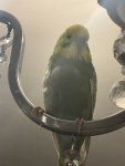 IMG_7198.jpeg