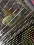 IMG_6691.jpeg