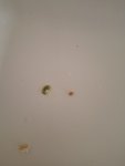 20260520_164947.jpg